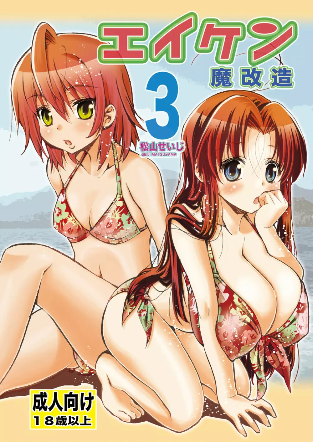 エイケン魔改造3