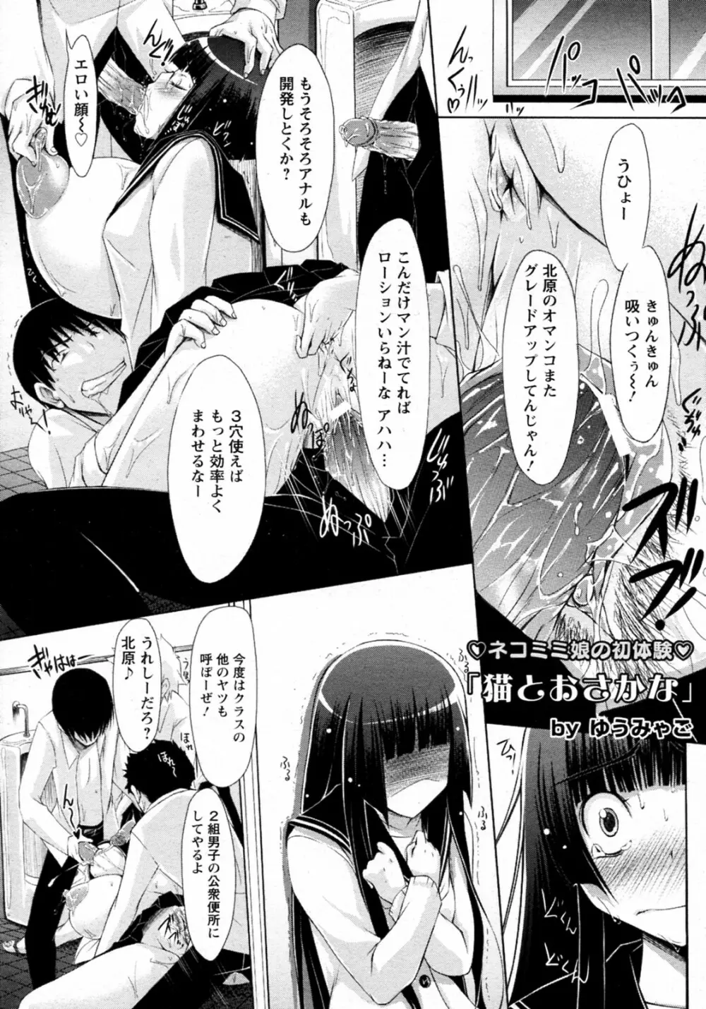 猫とおさかな