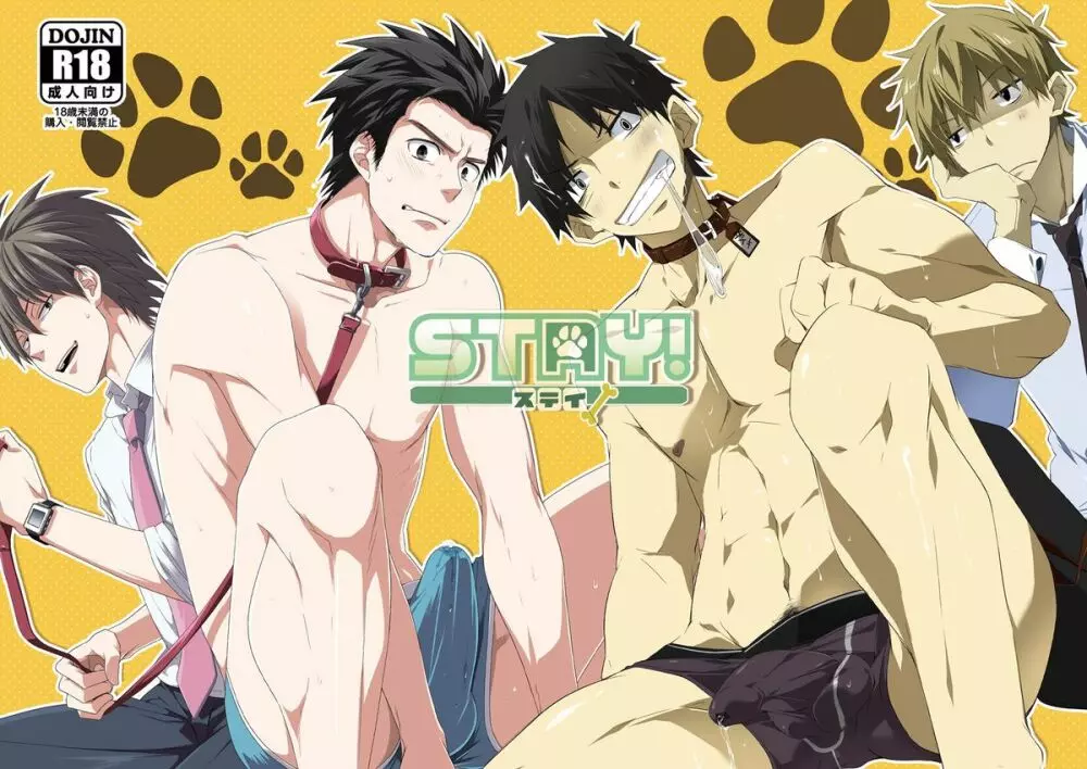 STAY!