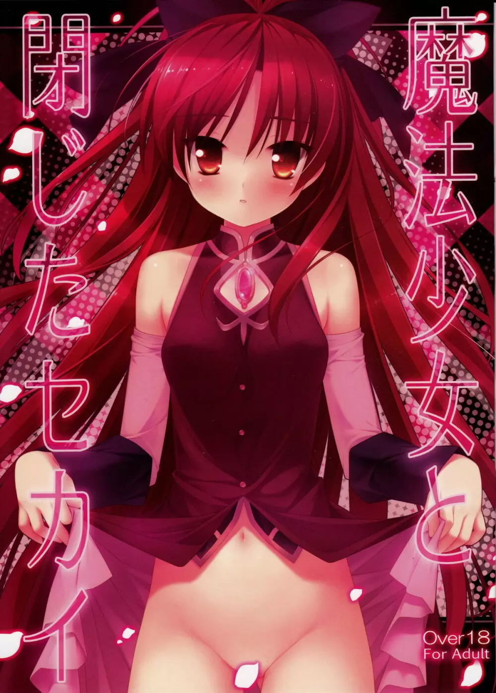 魔法少女と閉じたセカイ