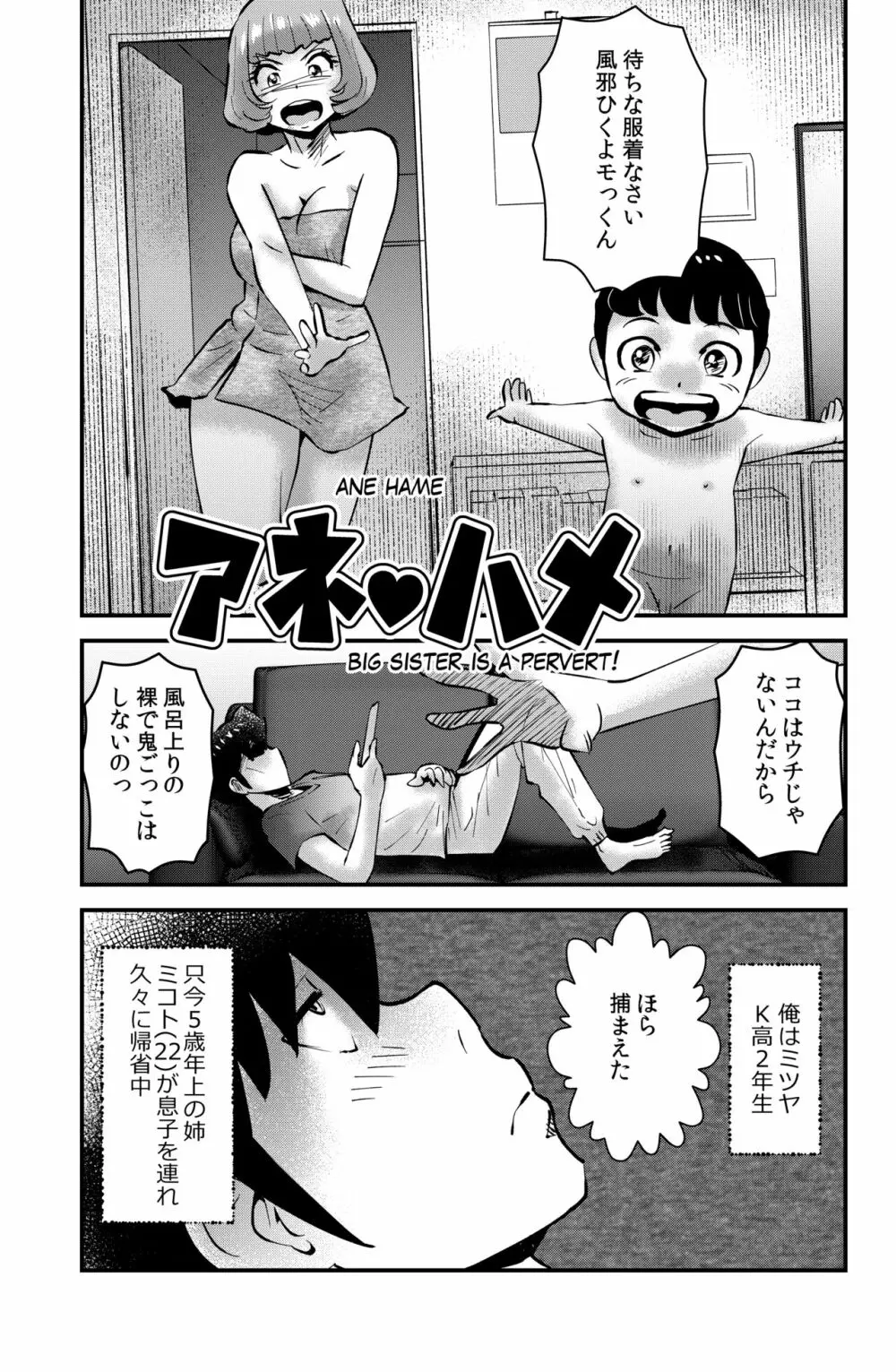 アネ・ハメ