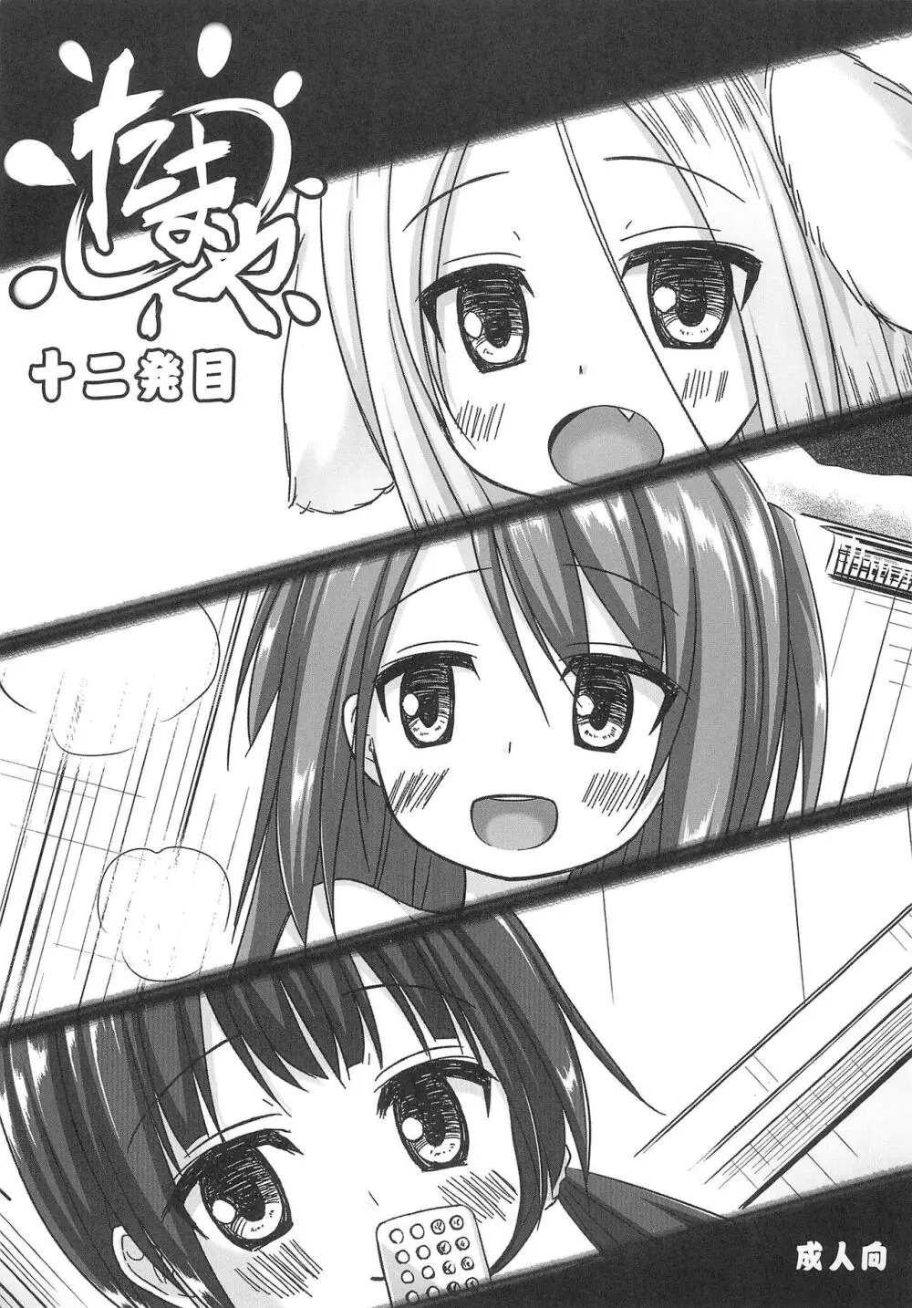 たまや十二発目